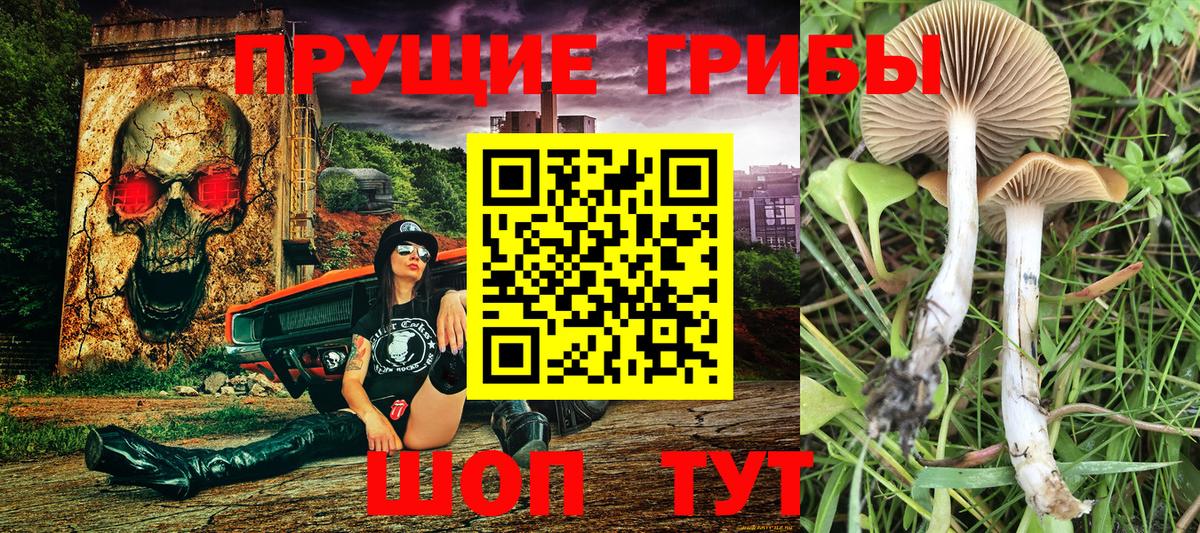 Псилоцибиновые грибы Psilocybe  Галлюциногенные грибы прущие грибы  как найти закладки  Семилуки  Вход с VPN 